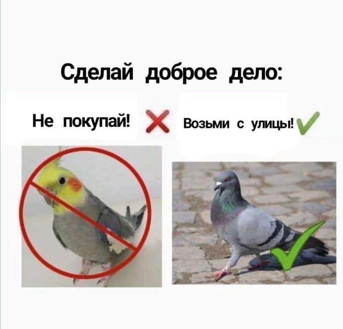 Сделай доброе дело: Не покупай! возьми с