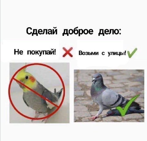 Сделай доброе дело: Не покупай! возьми с