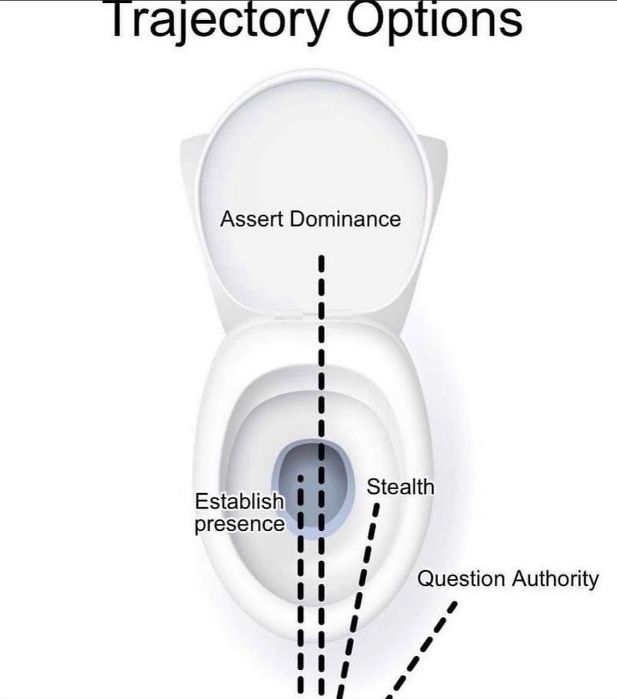 Trajectory Options Assert Dominance Establish i Stealth presence Question Authority