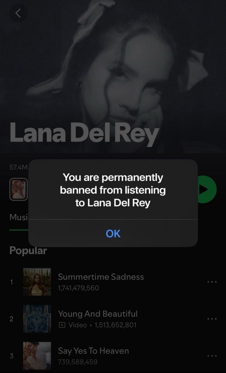 You are permanently banned from listening to Lana Del Rey