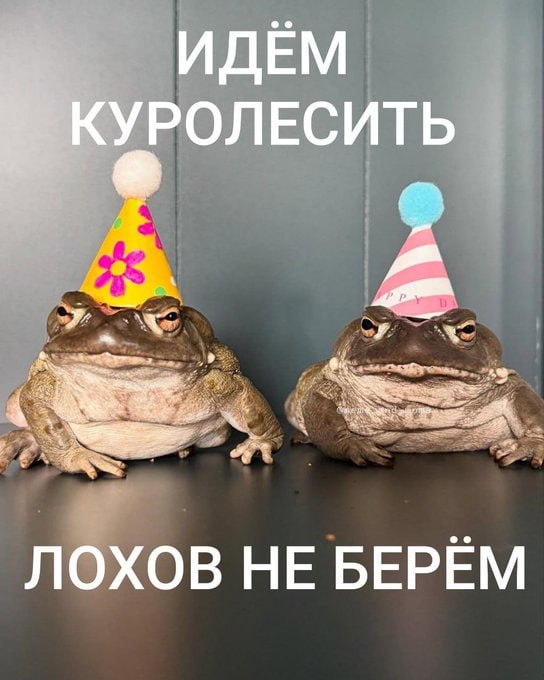 ИДЁМ РОЛЕСИТЬ лохов НЕ БЕРЁМ