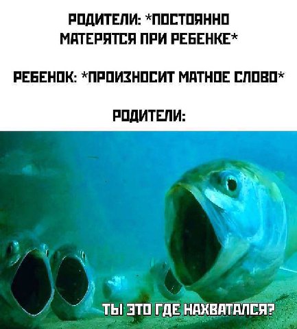 РОДИТЕЛИ: *ПОСТОЯННО МАТЕРЯТСЯ ПРИ РЕБЕНКЕ* РЕБЕНОК: *ПРОИЗНОСИТ МАТНОЕ СЛОВО* РОДИТЕЛИ:
