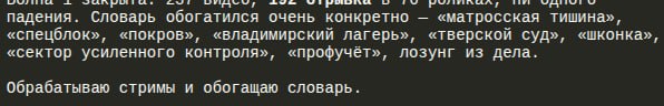 падения. Словарь обогатился очень конкретно «матросская тишина», «спецблок», «покров», «владимирский лагерь», «тверской суд», «шконка», «сектор усиленного контроля», «профучёт», лозунг из дела. Обраба