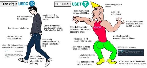 и 7 The Virgin USDC [THE CHAD Fudded every year, still гедеет$ Has like 10 employees, Manages a Mcap OHHHH compliant and in REDEEMING has 1000 employees the gets probed for a stablecoin the SEC Has US