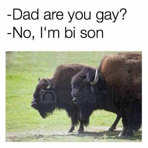 -Dad are you gay? -No, son