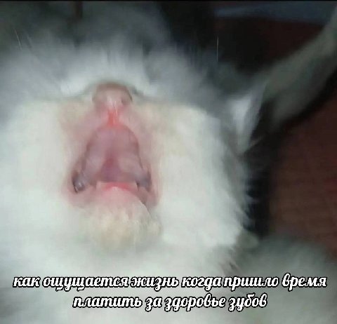 пришло время