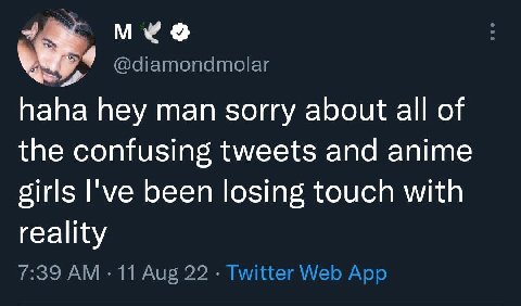 мхо @diamondmolar haha hey man sorry about all of the confusing tweets and anime girls I've been losing touch with reality 7:39 11 Aug 22 Twitter Web App