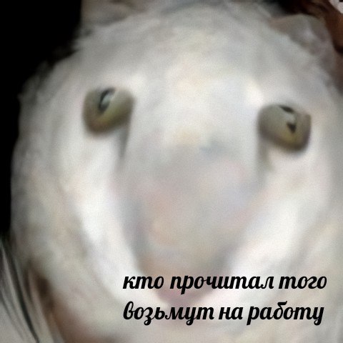 кто прочитал того возьмут на