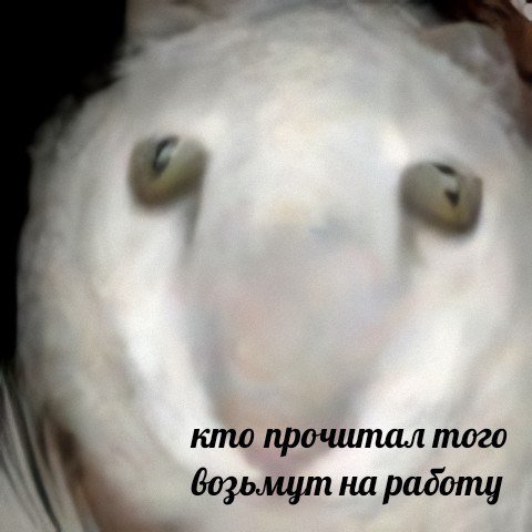 кто прочитал того возьмут на