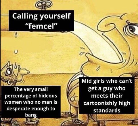 ata Calling yourself “femcel” у, о Mid girls who can’t The very small get a guy who meets their percentage of hideous women who no man is cartoonishly high desperate enough to standards bang