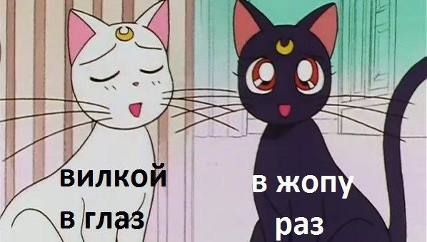о 4 3 ЖОП раз