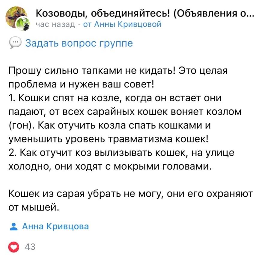 ходят с мокрыми головами 😭