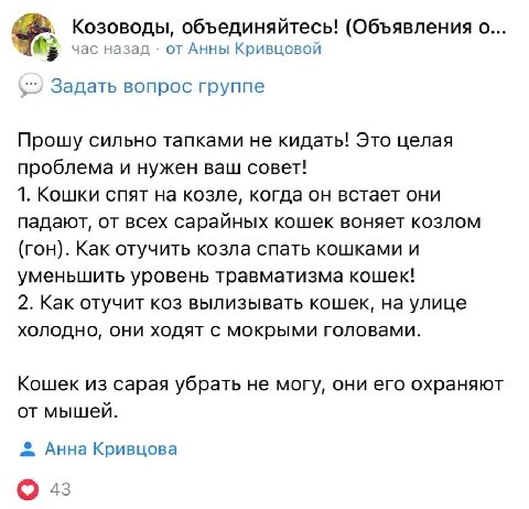 ходят с мокрыми головами 😭