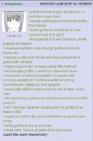 Anonymous 09/12/23(Тие)09:26:47 №.15739073 >purchase поте gym equipment perhaps a gym itself >kidnap adolescent silverback gorilla from forest A >allow gorilla to acclimate to new JPG environment (the