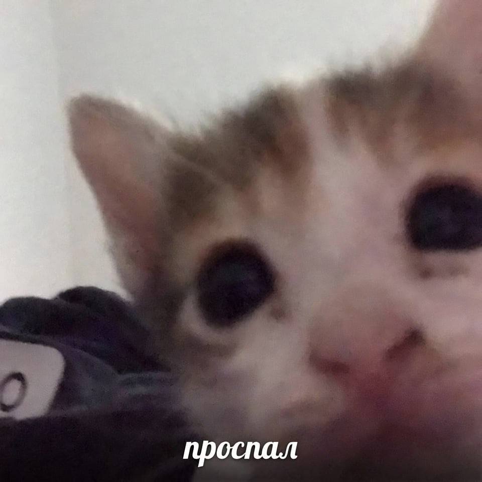проспал