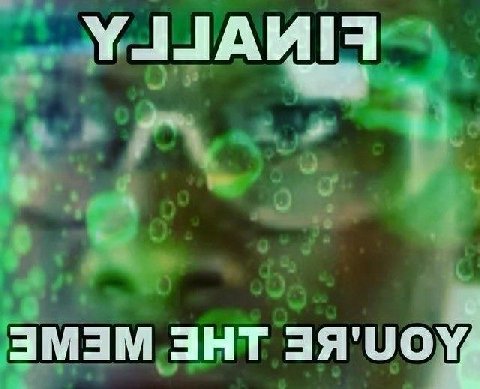 ант