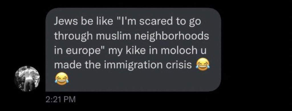 Jews be like scared to through muslim neighborhoods in europe" my kike in moloch made the immigration crisis