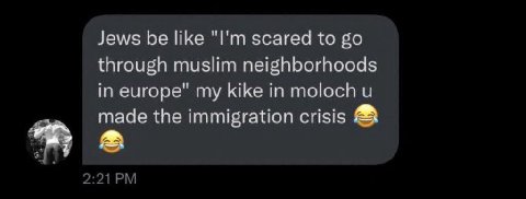 Jews be like scared to through muslim neighborhoods in europe" my kike in moloch made the immigration crisis
