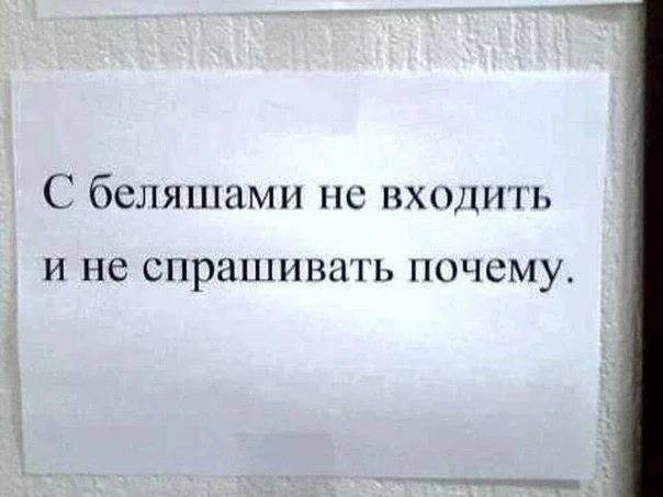 С беляшами не входить и не спрашивать почему.
