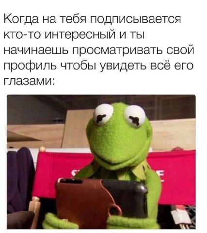 Когда на тебя подписывается кто-то интересный и ты начинаешь просматривать свой профиль чтобы увидеть всё его глазами: