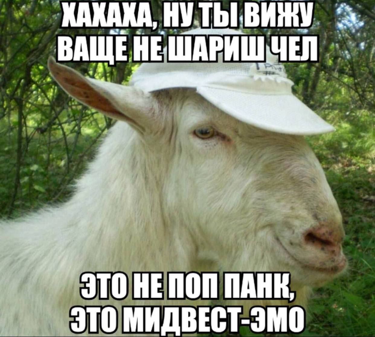 MAXAKA, НУ ТЫ ВИЖУ ВАЩЕ HE ЧЕЛ or ЭТО HE NOM ЭТО