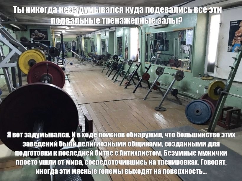 Ты думывался куда подевались _подвальные тренажерныезалы: 1 В у и. BOT задумывался. ходе обнаружил, что большинство этих заведений былирелигиозными общинами, созданными для подготовки к последней битв