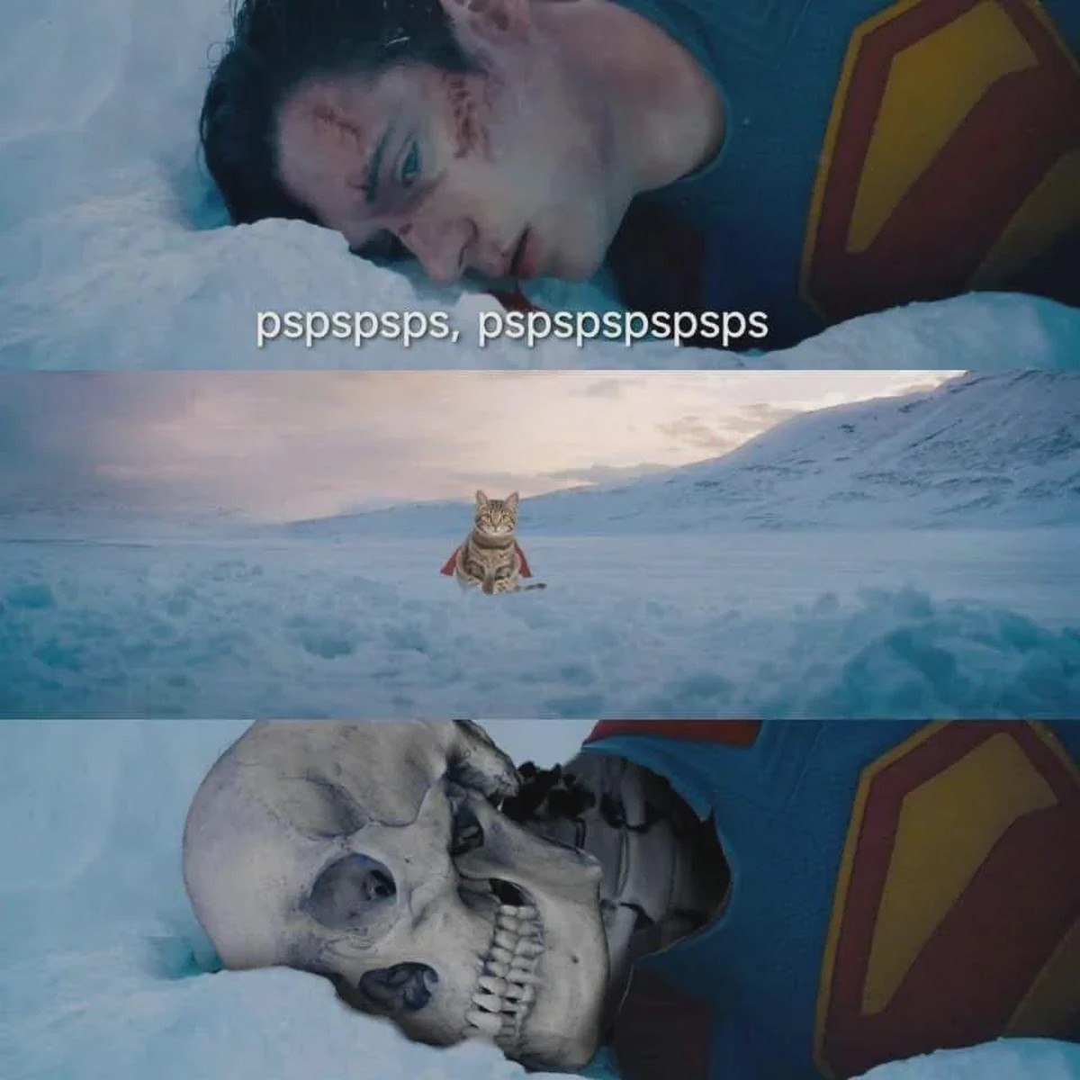 PSPSPSPSPSPS