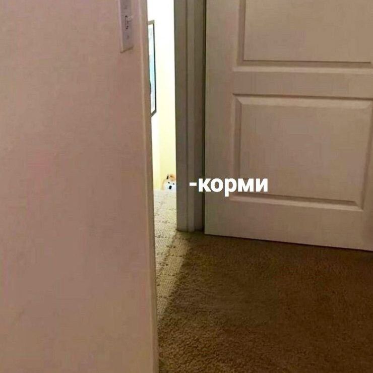 -корми