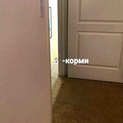 -корми
