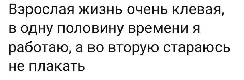 Взрослая жизнь очень клевая, в одну половину времени я работаю, а во вторую стараюсь не плакать