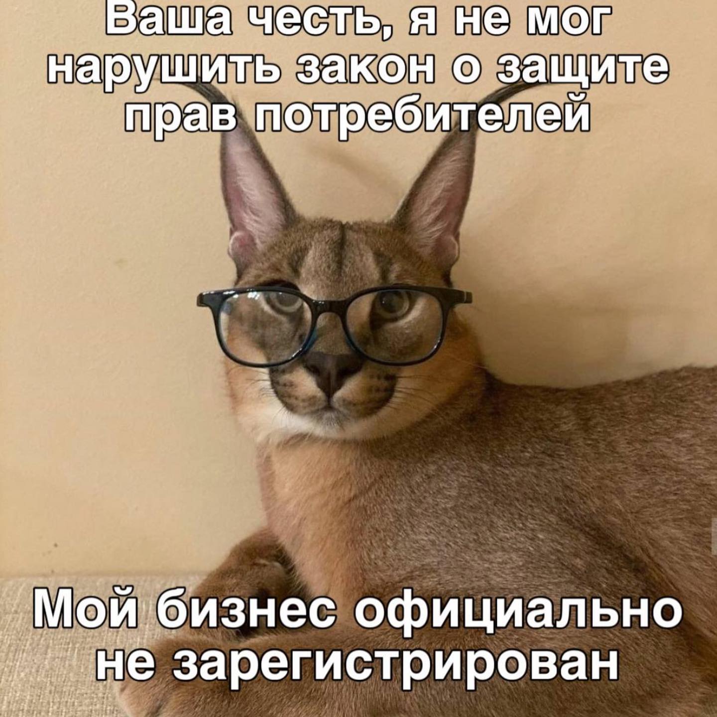 Ваша честь, я не мог нарушить закон о защите прав потребителеи Мой.бизнес официально зарегистрирован