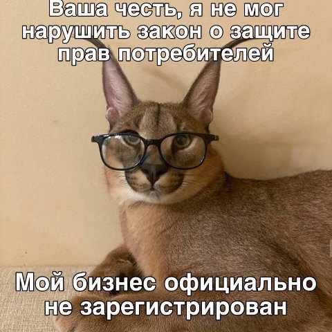 Ваша честь, я не мог нарушить закон о защите прав потребителеи Мой.бизнес официально зарегистрирован