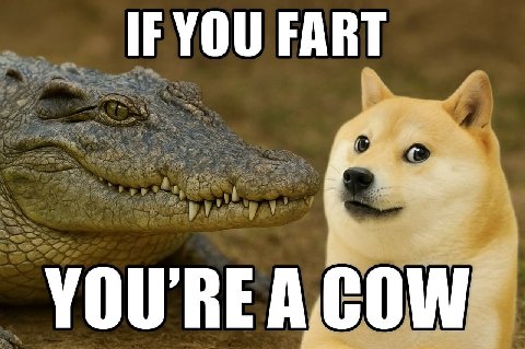 IF YOU FART COW