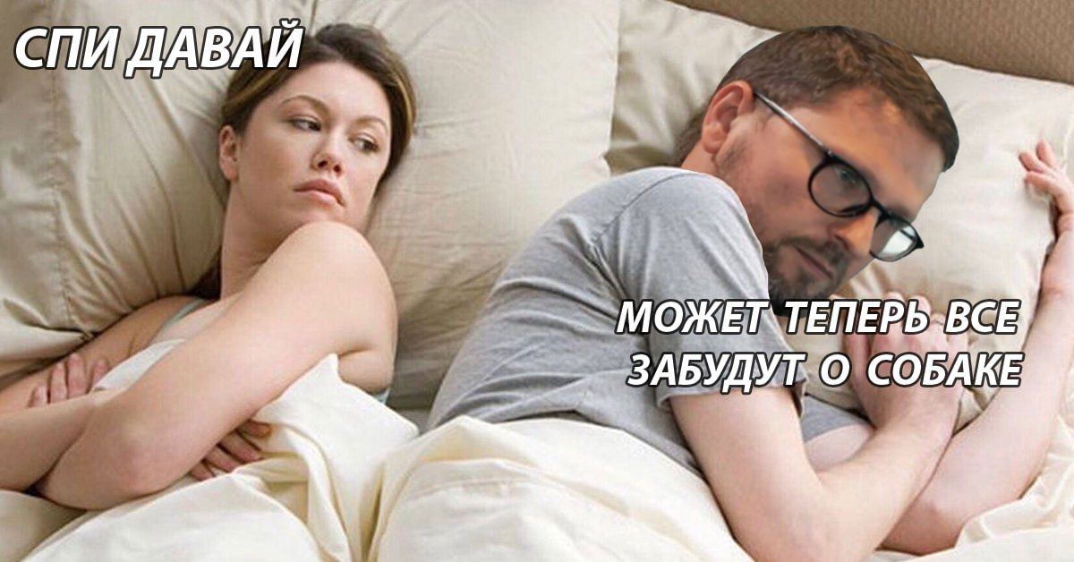 СПИДАВАЙ ТЕПЕРВАВСЕ ЗАБУДУ, о СОБАКЕ 7