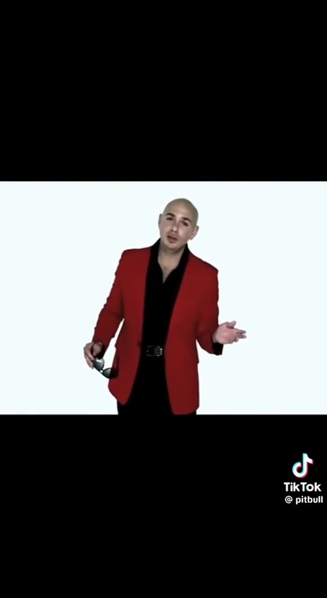 TikTok pitbull