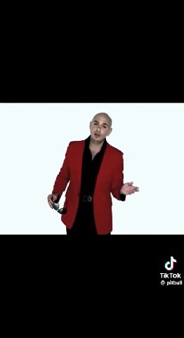 TikTok pitbull