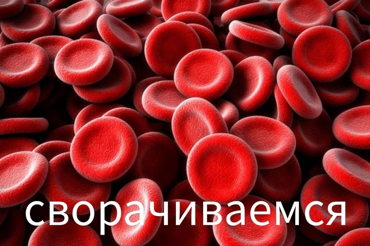 свордчиваемся