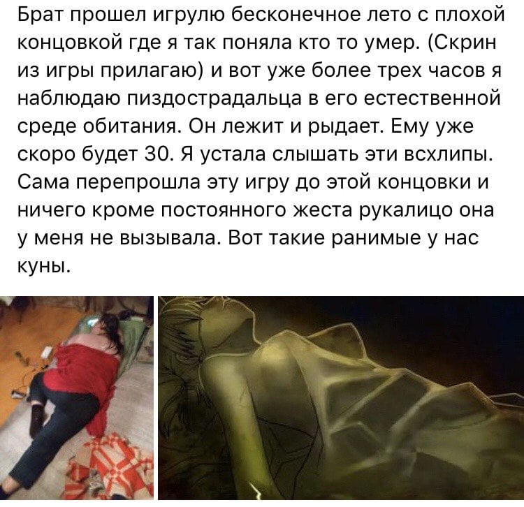 Брат прошел игрулю бесконечное лето с плохой концовкой где я так поняла кто то умер. (Скрин из игры прилагаю) и вот уже более трех часов я наблюдаю пиздострадальца в его естественной среде обитания. О
