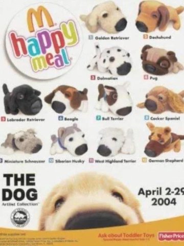 3. THE DOG