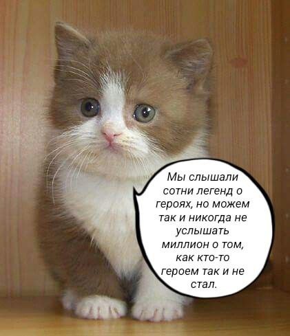 Мы слышали сотни легенд о героях, но можем так и никогда не услышать миллион о том, как кто-то героем так и не стал.