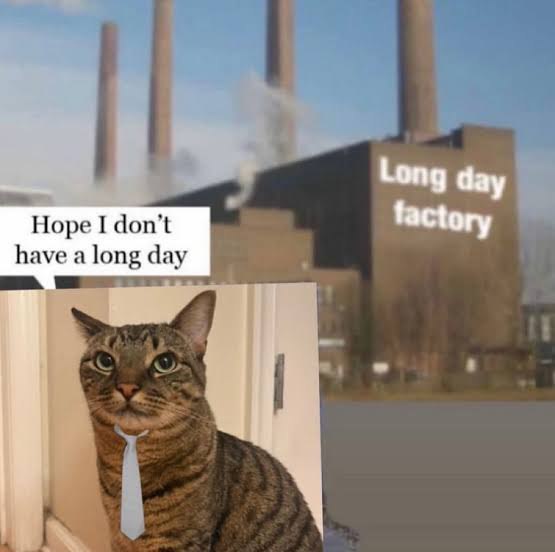 Long day Hope I don’t tactory have a long day