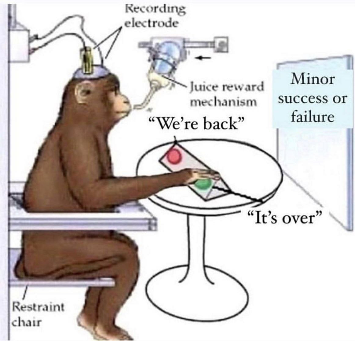Recording electrode Minor Juice reward success or mechanism failure “We're back” “Tt’s over” Restraint