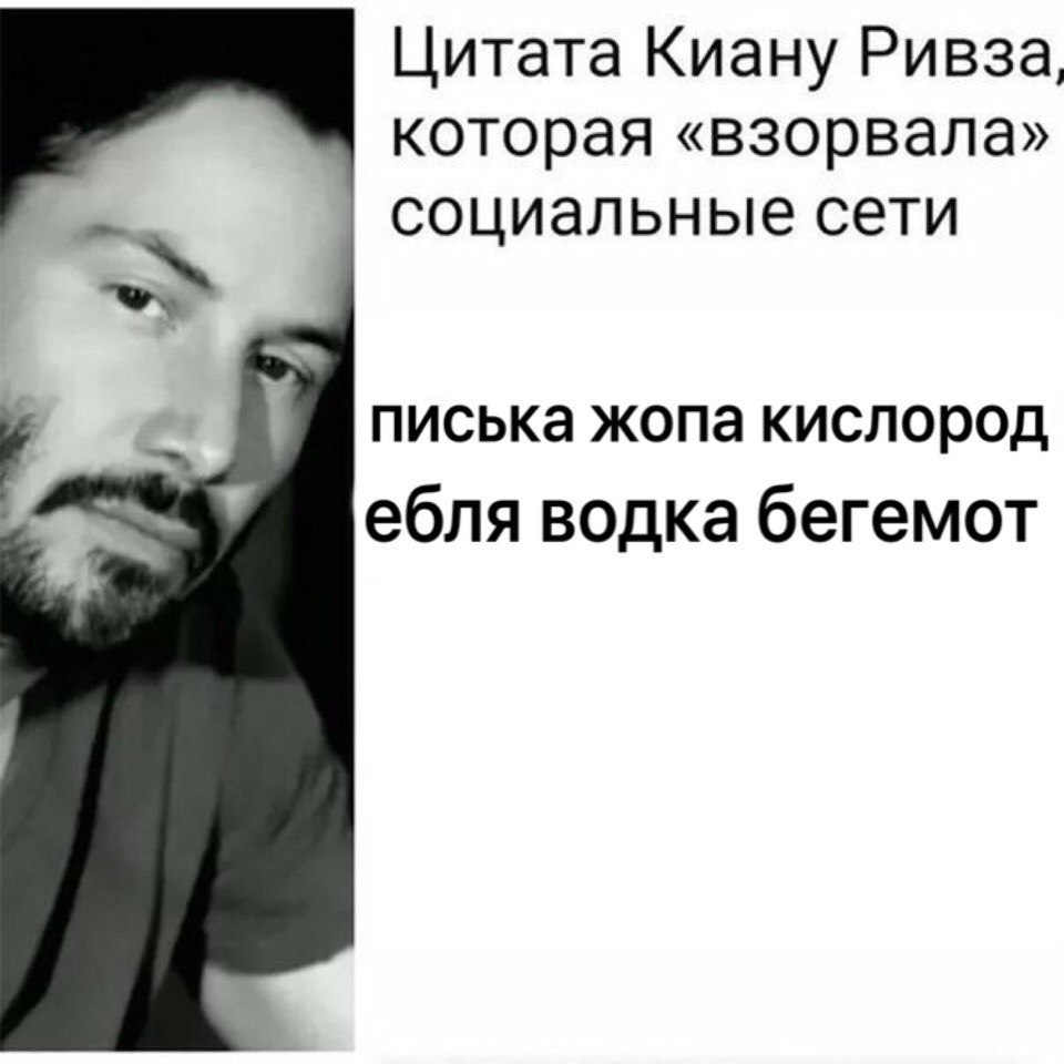 Цитата Киану Ривза, которая «взорвала» вы социальные сети писька жопа кислород ебля водка бегемот