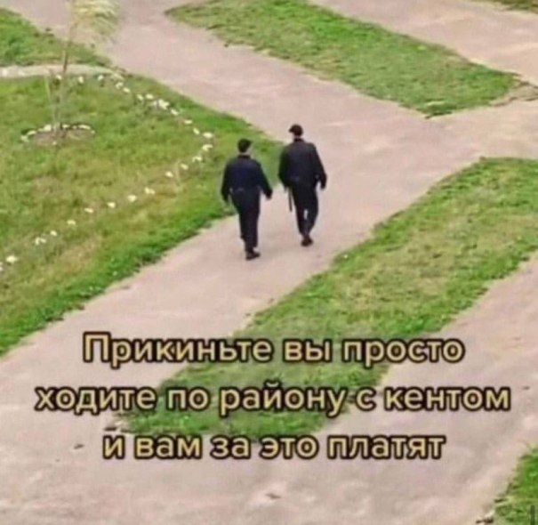 ж ходи ИЕЕМ 5 A