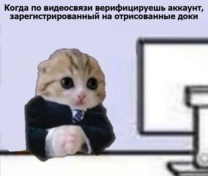 Когда по видеосвязи верифицируешь аккаунт, зарегистрированный на отрисованные доки