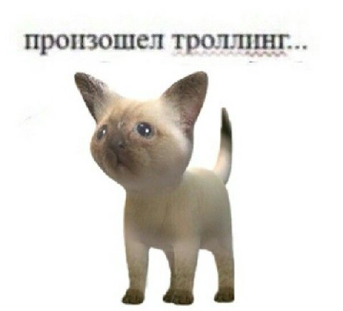 произошел троллинг.
