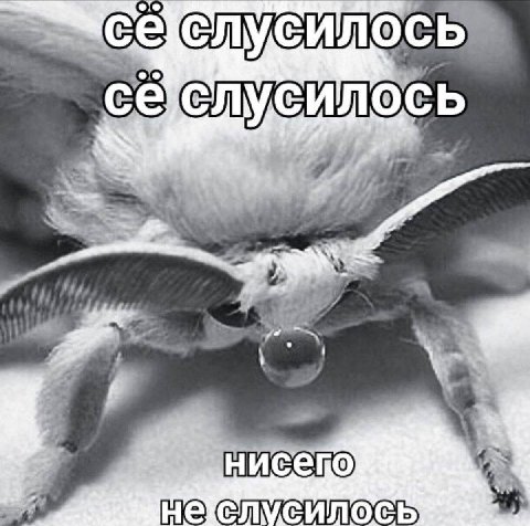 СИЛОСЬ СЛУ, HUCeKO