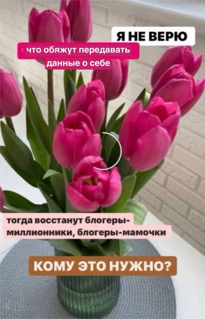у ЯНЕВЕРЮ что обяжут передавать данные о себе тогда восстанут блогеры- миллионники, блогеры-мамочки ЭТО НУЖНО? #31 i]