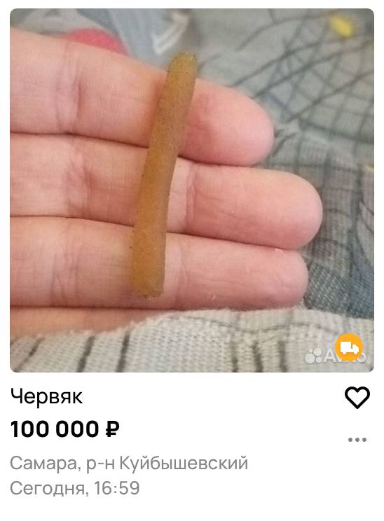 Червяк 100 000 eee Самара, Куйбышевский Сегодня, 16:59