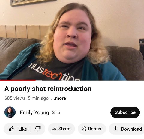 Vif A poorly shot reintroduction 605 views 5 адо ...more 5 Emily Young 215 Like Share Remix Download